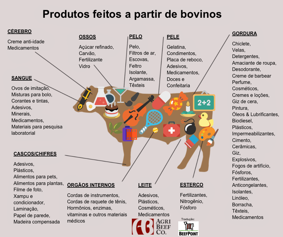 Quantos produtos derivados de bovinos você usou hoje? - Zootecnia Brasil