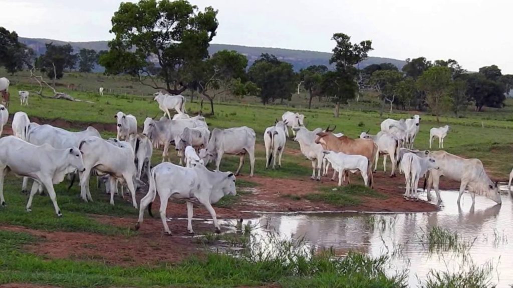 tratamento de resíduos