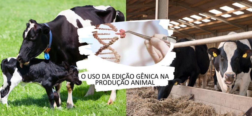 edição gênica