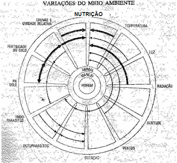 ambiência
