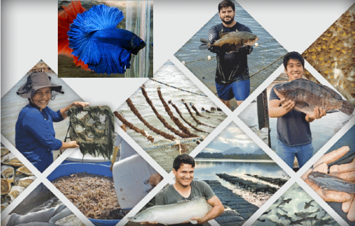 aquicultura