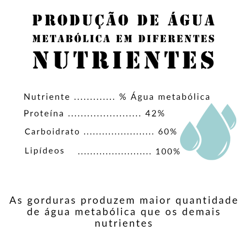nutrição