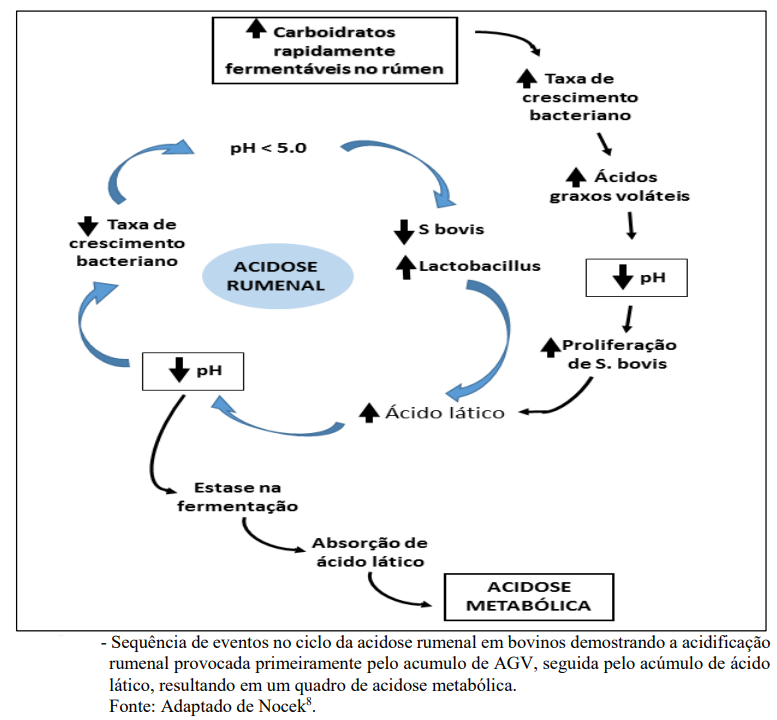 protocolos de adaptação