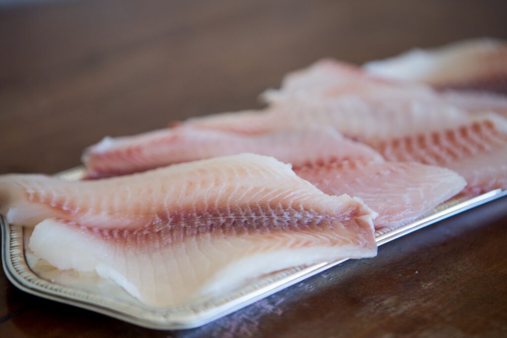 produção de tilápias