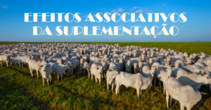 efeitos associativos