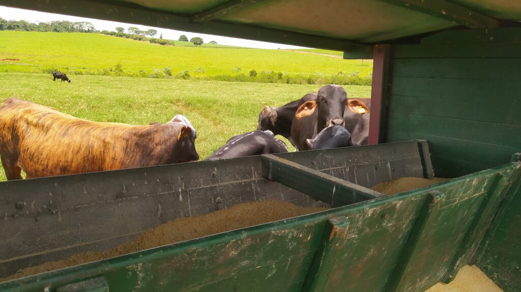 efeitos associativos