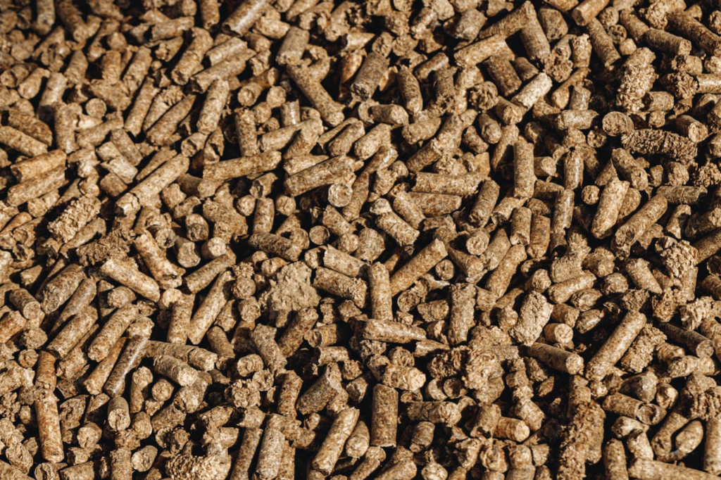 alimentos alternativos