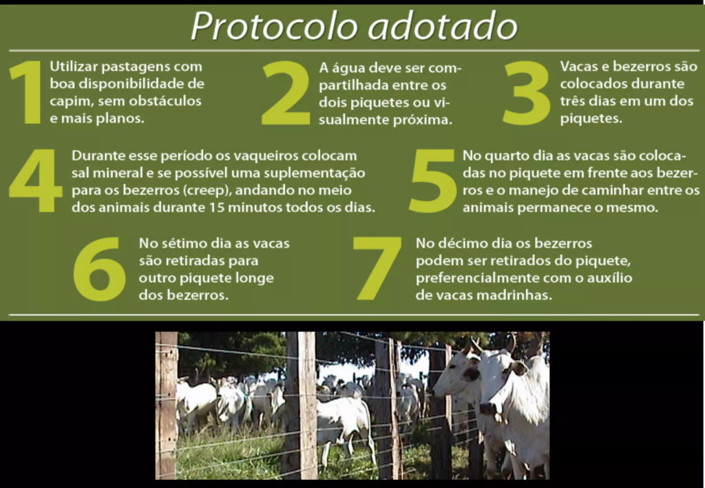 protocolo desmame racional