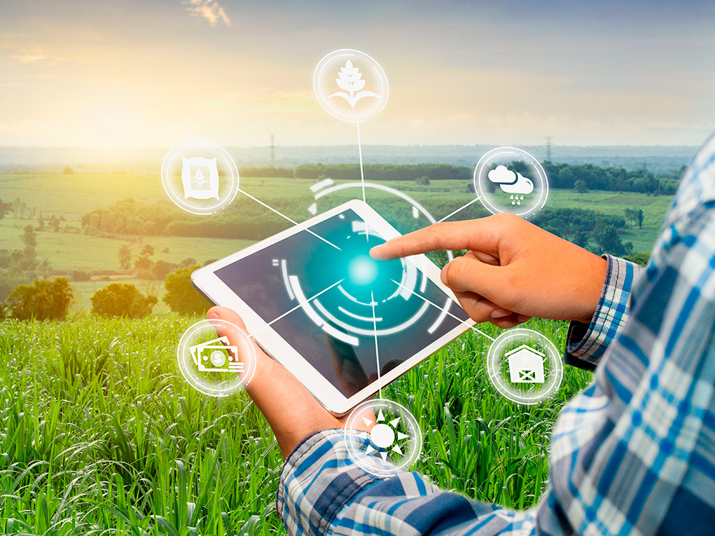 Surgimento e desenvolvimento da Zootecnia de Precisão