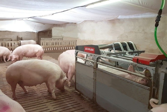 Surgimento e desenvolvimento da Zootecnia de Precisão