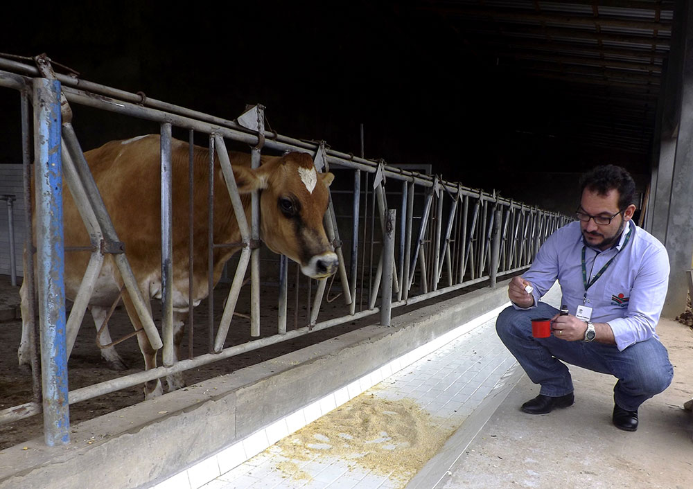 Homeopatia nos Animais de Produção: Uma Abordagem Holística e Sustentável