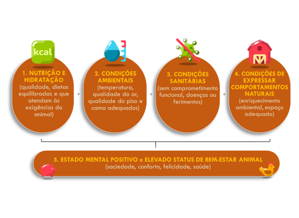 O que é bem-estar animal e por que isso importa?