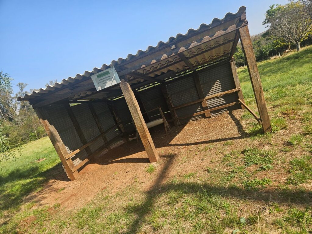 Instalações para ovinos: Facilitando o manejo e gerando o bem-estar aos animais