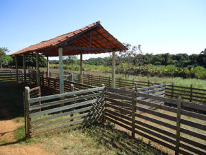 Instalações para ovinos: Facilitando o manejo e gerando o bem-estar aos animais