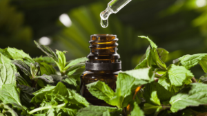 Óleos Essenciais para Animais de Produção: Benefícios e Uso