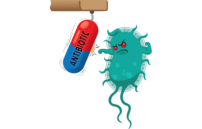 Alternativas aos Antibióticos na Produção Animal
