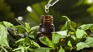 óleos essenciais para pets