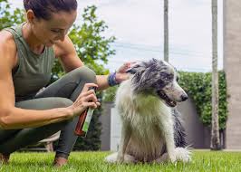 benefícios de óleos essenciais