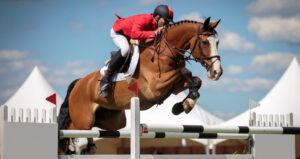 Tecnologia a favor dos cavalos atletas: conheça as diferentes ferramentas