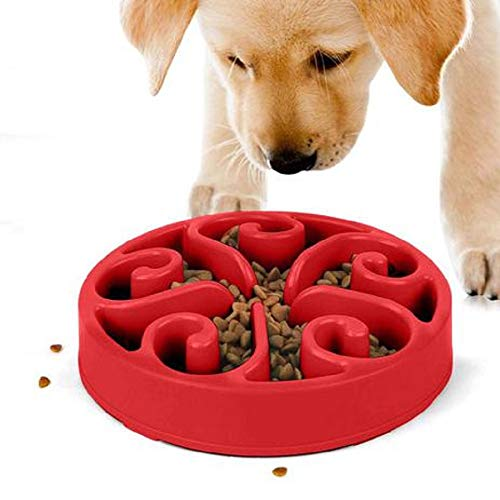 Como estimular os cães através da alimentação?