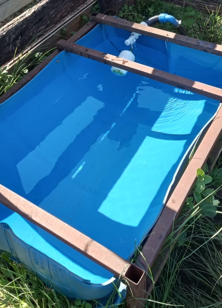 Importância de Comedouros e Bebedouros no Bem-estar Ovino