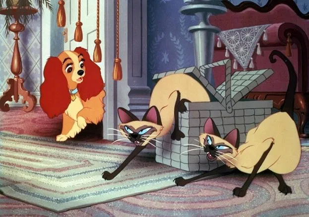 Conheça as raças dos gatos dos desenhos animados