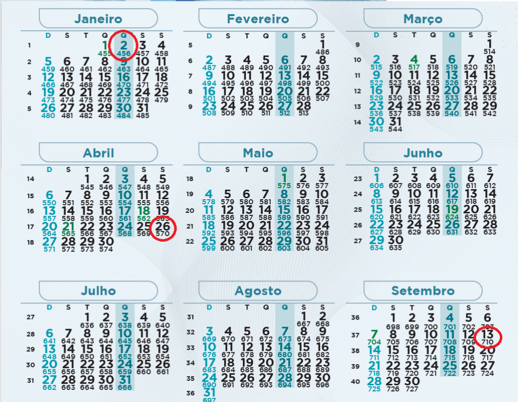 Calendário de 1000 dias: um aliado na suinocultura