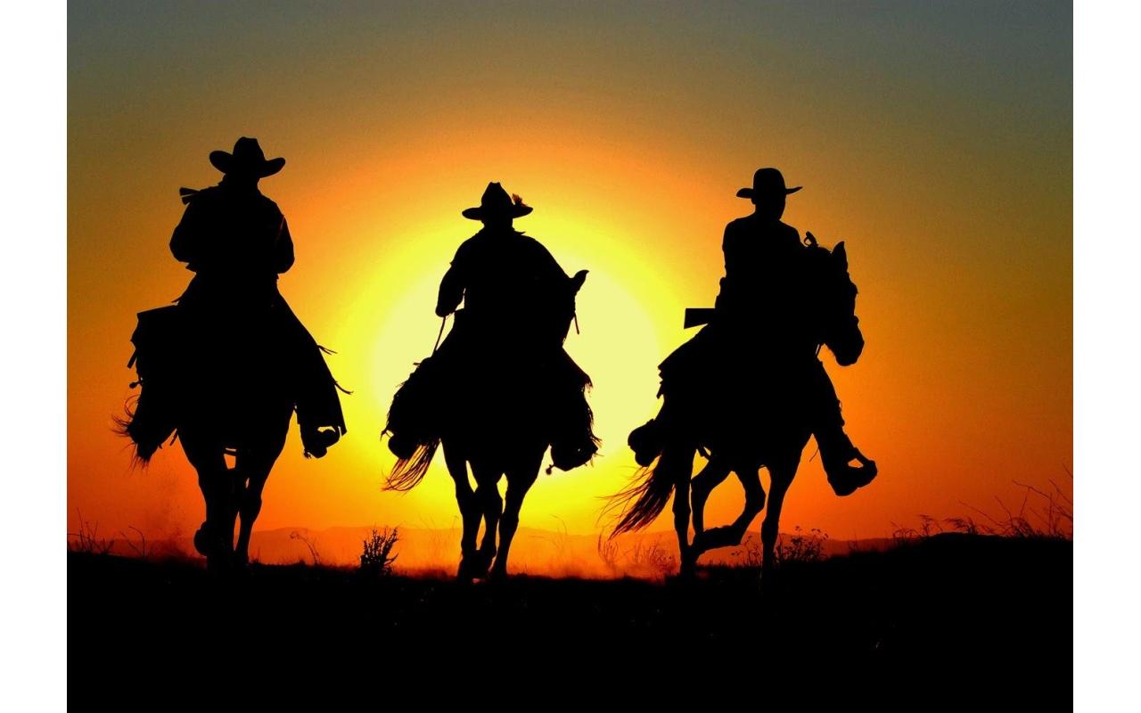 Conheça os tradicionais eventos equestres do Brasil