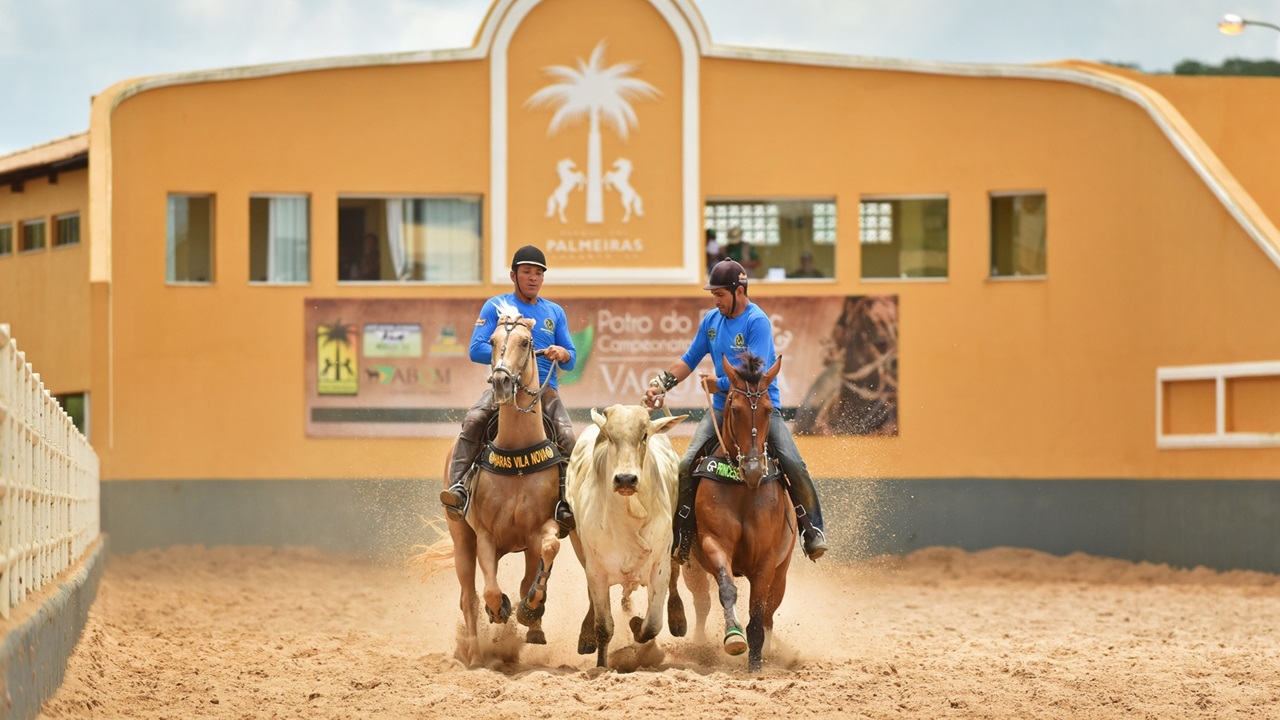 Vaquejada: polêmica tradição nordestina