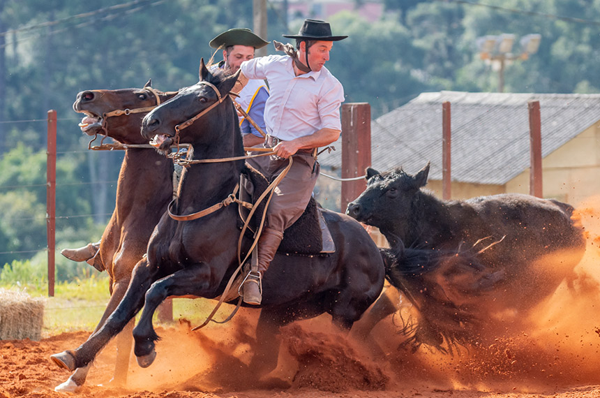Conheça os tradicionais eventos equestres do Brasil