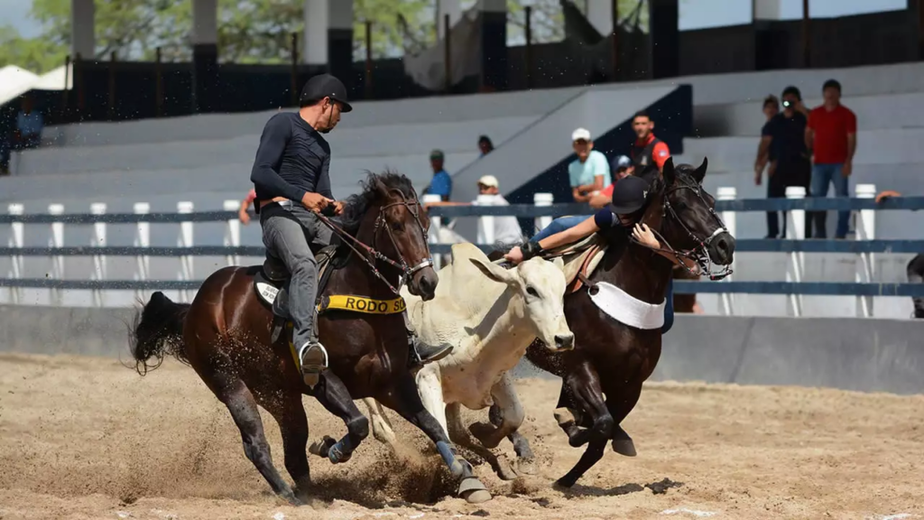 Conheça os tradicionais eventos equestres do Brasil