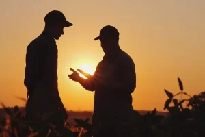 Gestão de Pessoas na Pecuária