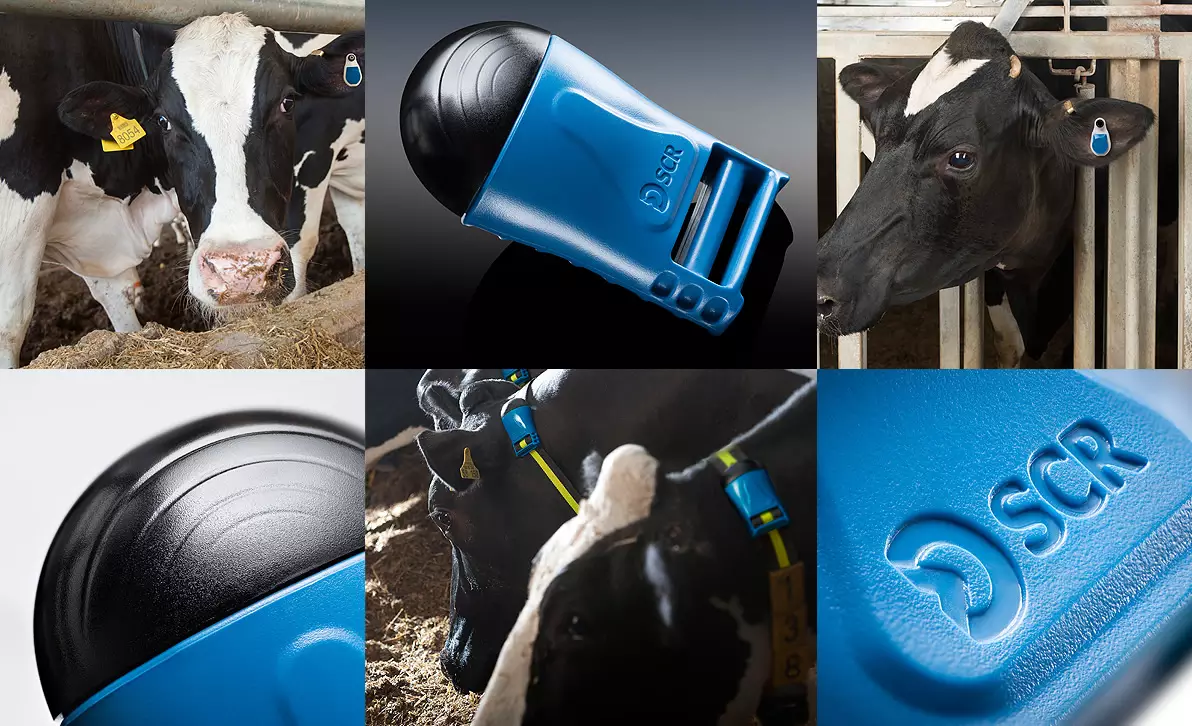 Monitoramento Individualizado de Animais: Benefícios na Zootecnia