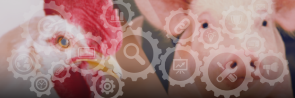 Gestão de granjas de aves e suínos na garantia da sustentabilidade e rentabilidade da produção