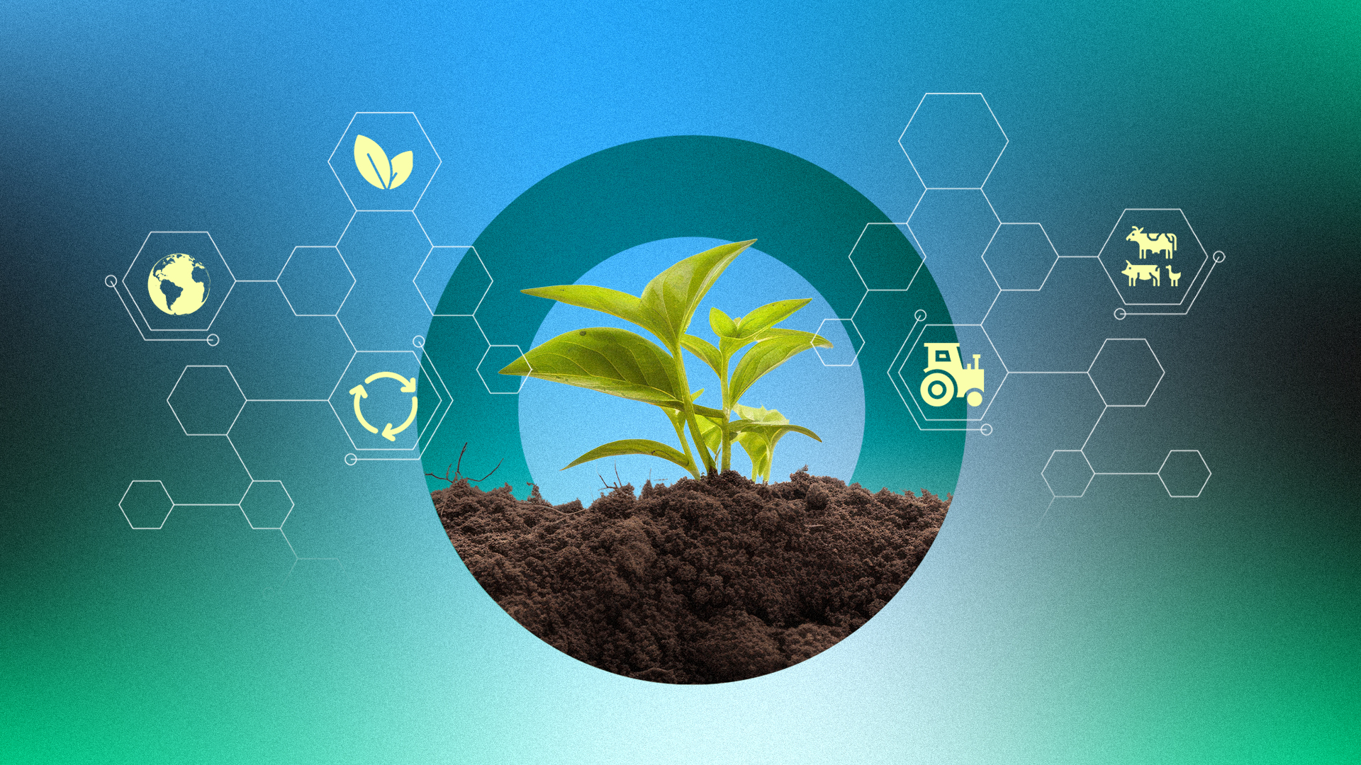 Bioinsumos na Produção Animal: Benefícios e Desafios