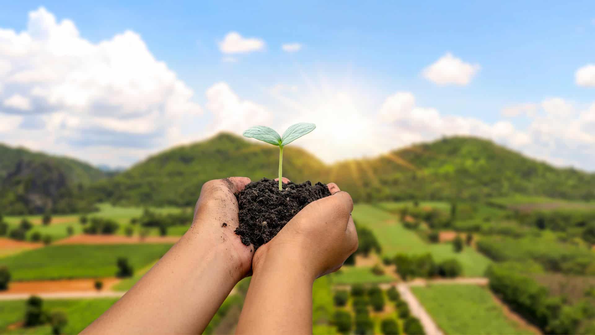 Práticas ESG no Agronegócio: Caminhos para o Futuro
