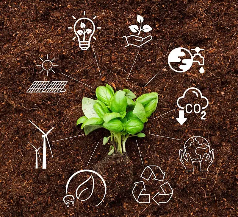 Agricultura Regenerativa: O Futuro Sustentável do Agro