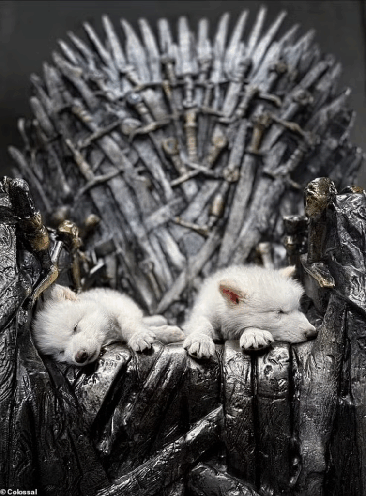 Genética e a Mitigação da Extinção: O Caso dos Lobos Terríveis