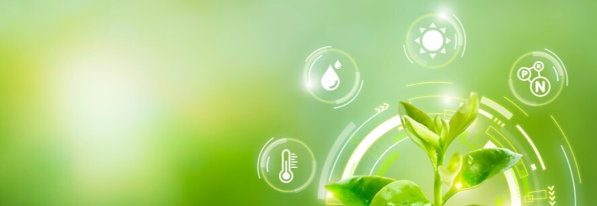 Bioinsumos na Produção Animal: Benefícios e Desafios
