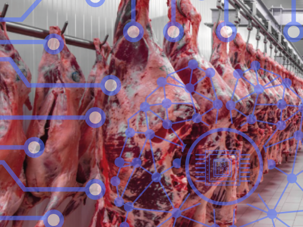 Rastreabilidade e blockchain na cadeia de carnes e leite